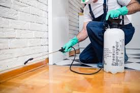 Real Estate Pest Inspections in Clare, MI